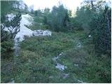 Zadnji travnik - Govca (Olševa)
